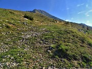 11 Lascio stradetta e prendo a dx strada erbosa con mandria al pascolo 